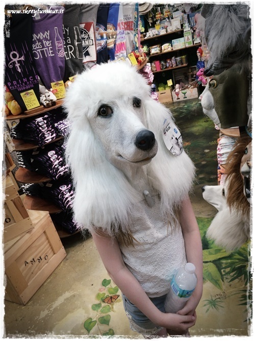 15-www.skreytumhus.is-014