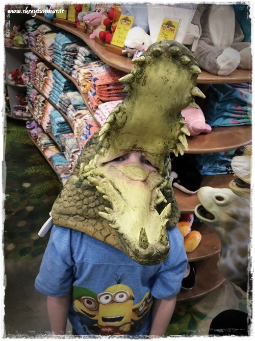 16-www.skreytumhus.is-015