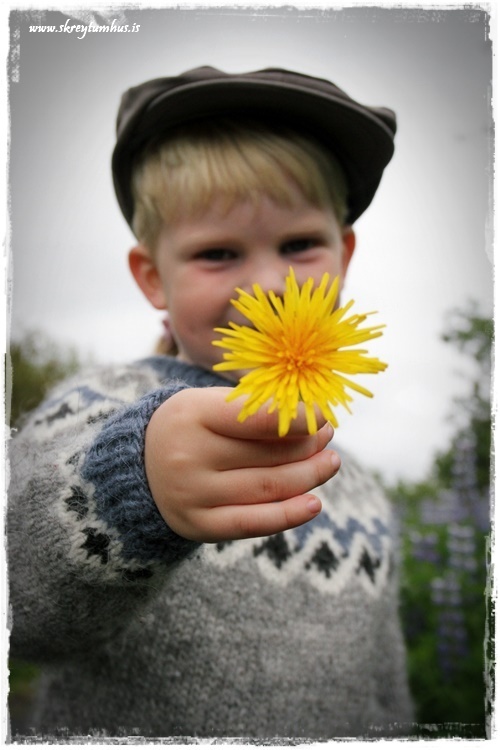 18-www.skreytumhus.is.2015-006