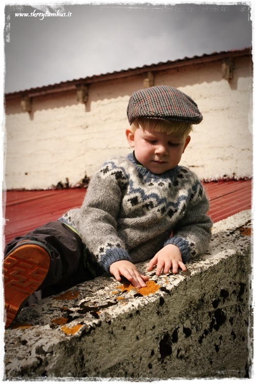 23-www.skreytumhus.is-001