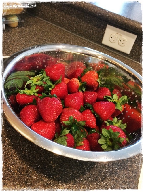 24-www.skreytumhus.is-015