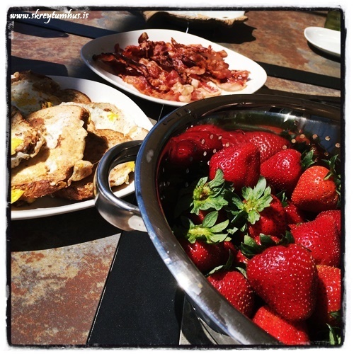 25-www.skreytumhus.is-016