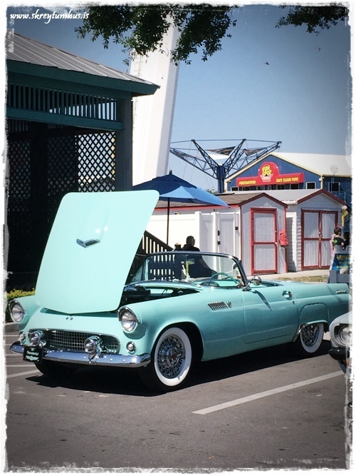 25-www.skreytumhus.is-024