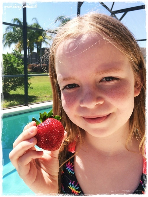 26-www.skreytumhus.is-017