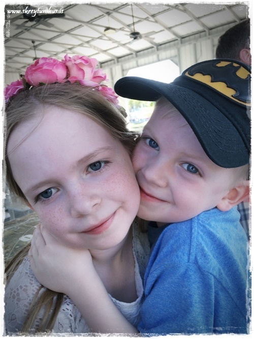 30-www.skreytumhus.is-029