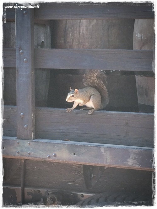 33-www.skreytumhus.is-032