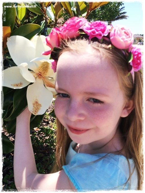 34-www.skreytumhus.is-025