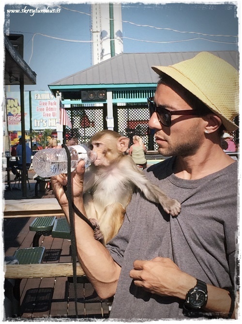 35-www.skreytumhus.is-034