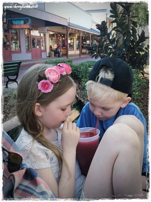 36-www.skreytumhus.is-035