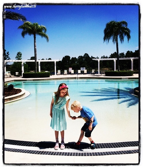 37-www.skreytumhus.is-028