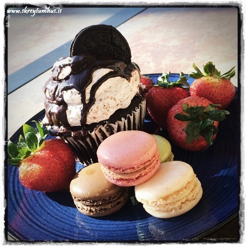 40-www.skreytumhus.is-039