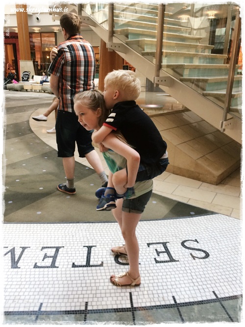 004-www.skreytumhus.is-003