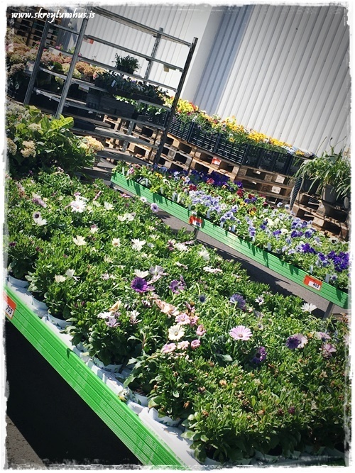 01-www.skreytumhus.is