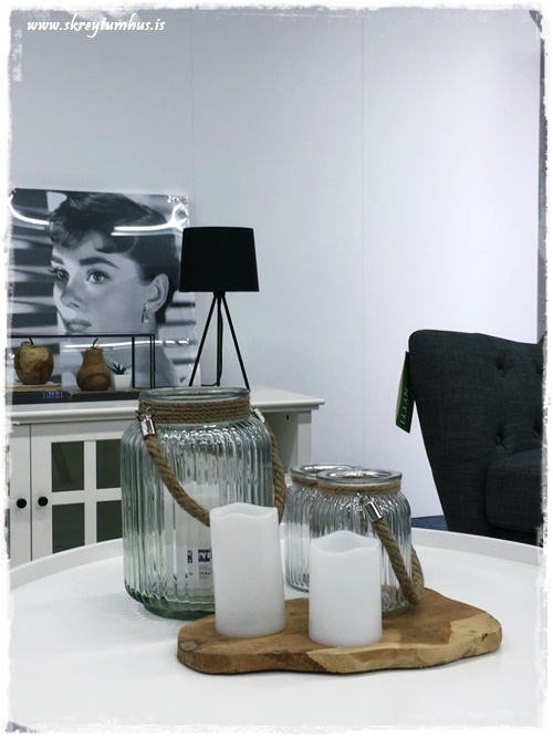 019-www.skreytumhus.is-018