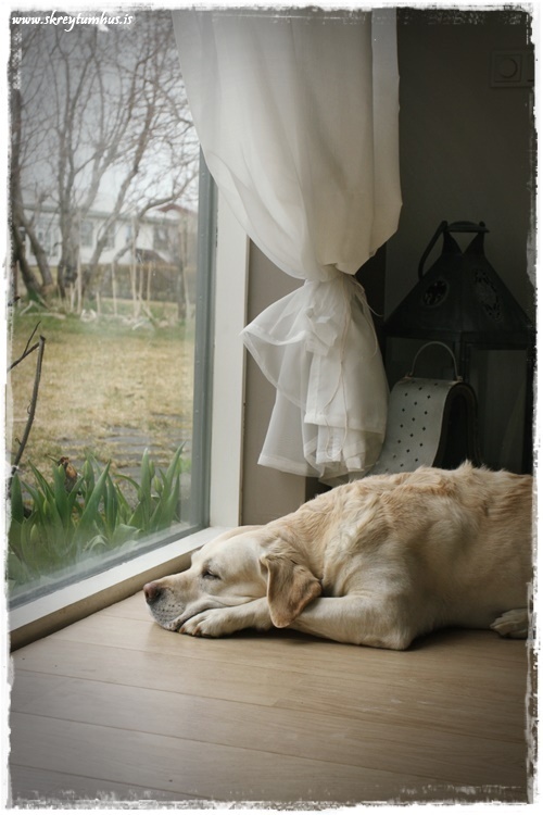 02-www.skreytumhus.is-001