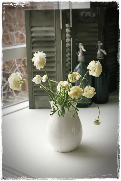 03-www.skreytumhus.is-002