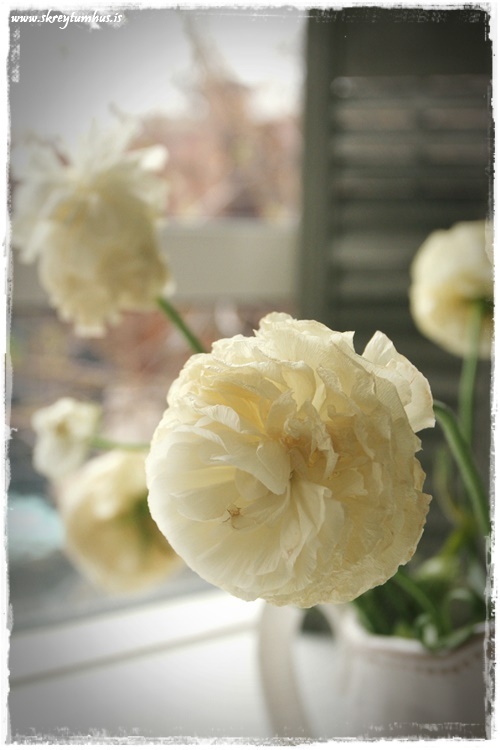 07-www.skreytumhus.is-006