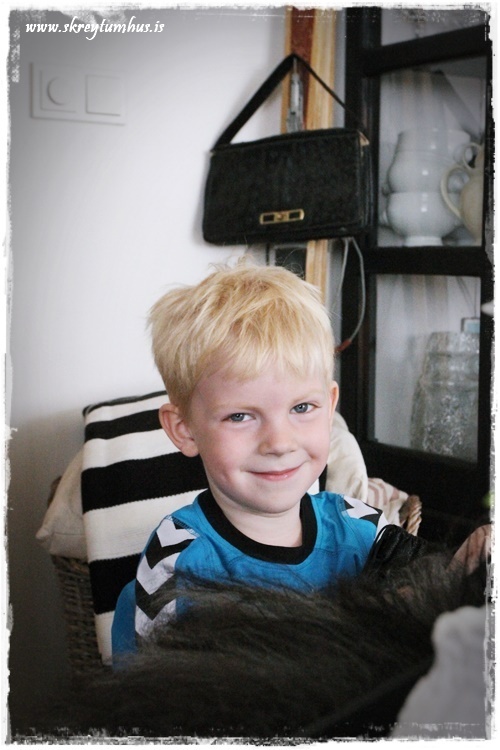 09-www.skreytumhus.is-021