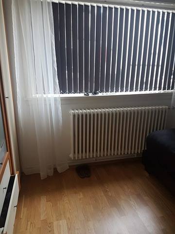 13342161_10153793956767568_2031251049_n