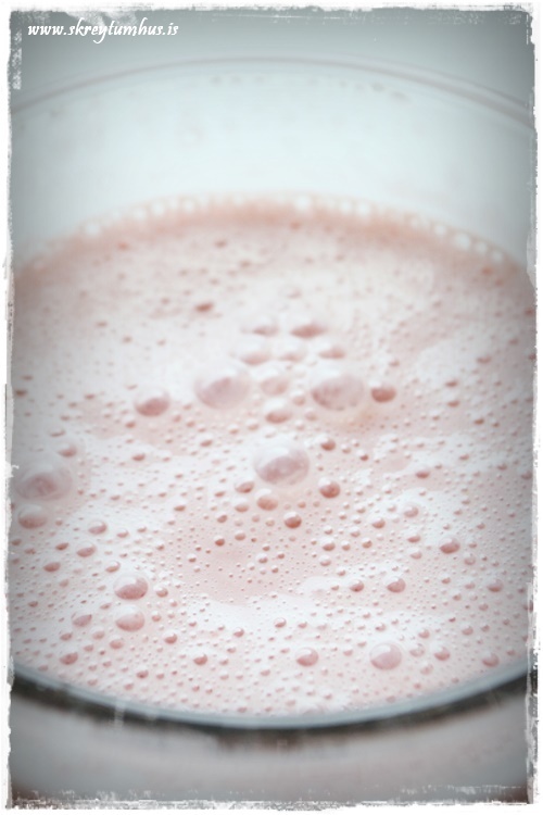 14-www.skreytumhus.is-013