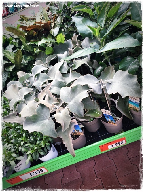 14-www.skreytumhus.is-013