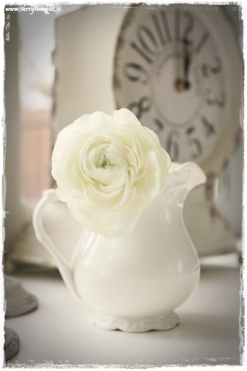 16-www.skreytumhus.is-005