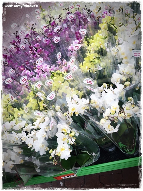 16-www.skreytumhus.is-015