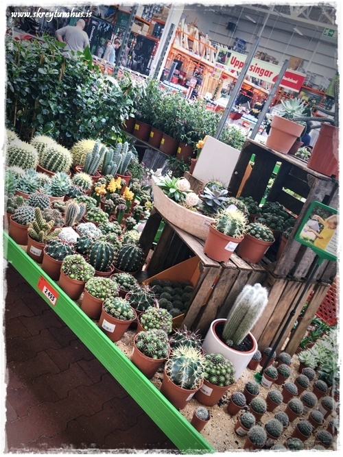 17-www.skreytumhus.is-016