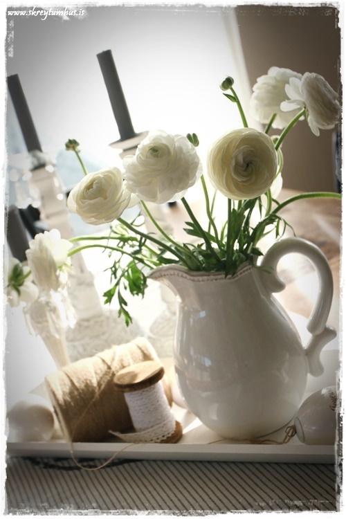 19-www.skreytumhus.is-015