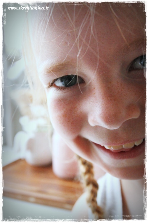 19-www.skreytumhus.is-018