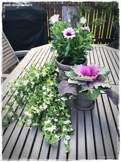 30-www.skreytumhus.is-029