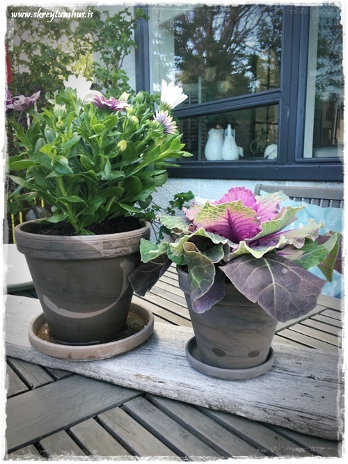 32-www.skreytumhus.is-031