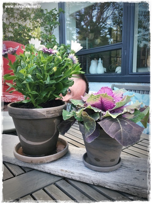 33-www.skreytumhus.is-032