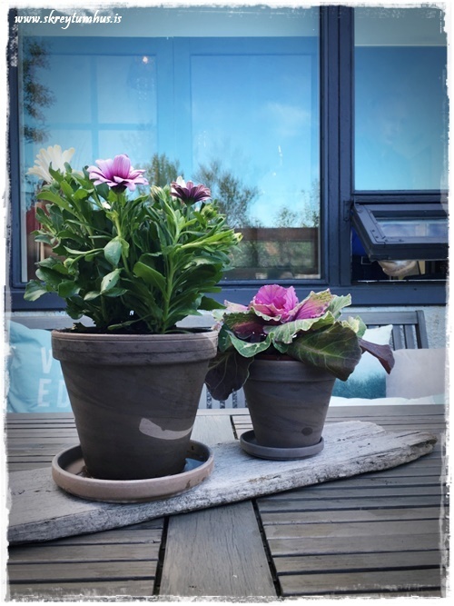 34-www.skreytumhus.is-033