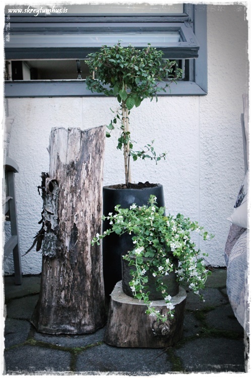 38-www.skreytumhus.is-002