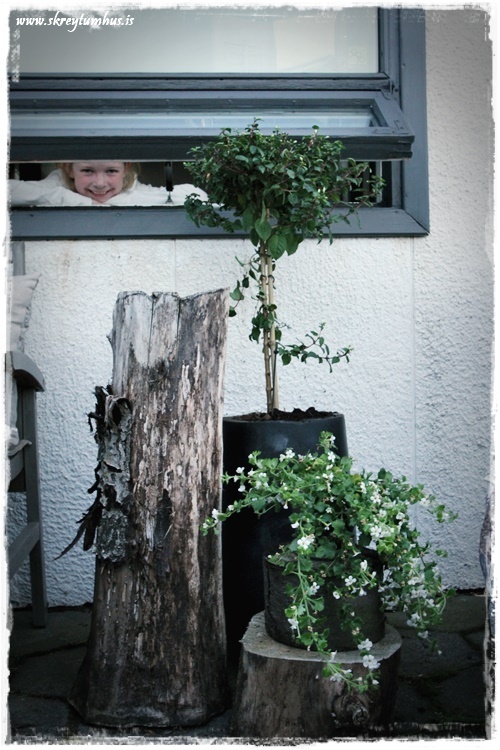 41-www.skreytumhus.is-005