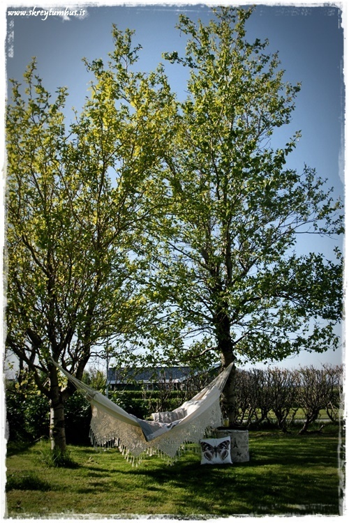 44-www.skreytumhus.is-012