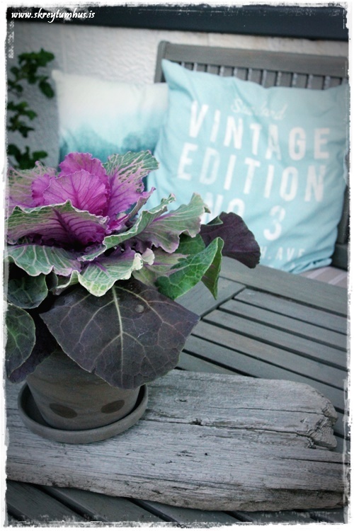 48-www.skreytumhus.is-012