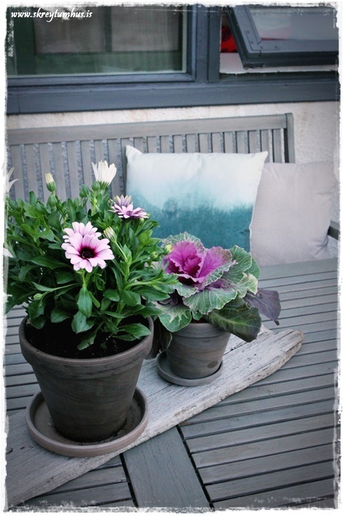 49-www.skreytumhus.is-013