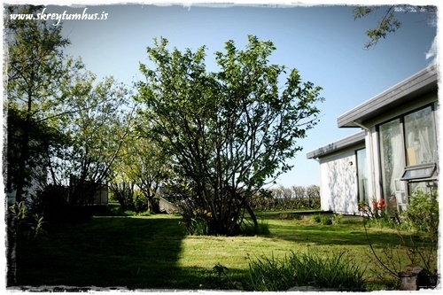 54-www.skreytumhus.is-022