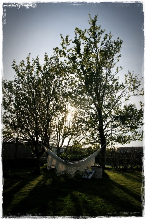 57-www.skreytumhus.is-025