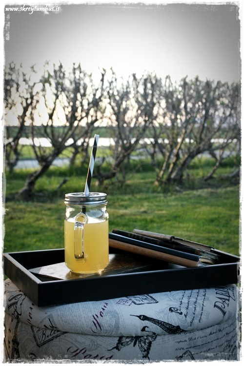 59-www.skreytumhus.is-027