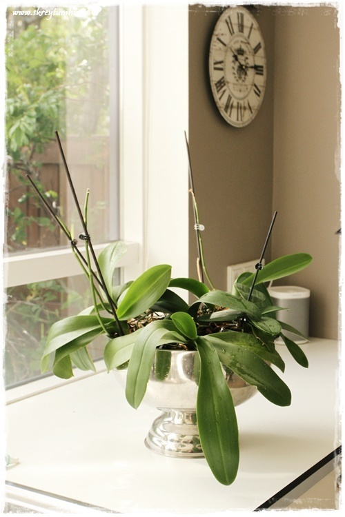 07-www.skreytumhus.is-006