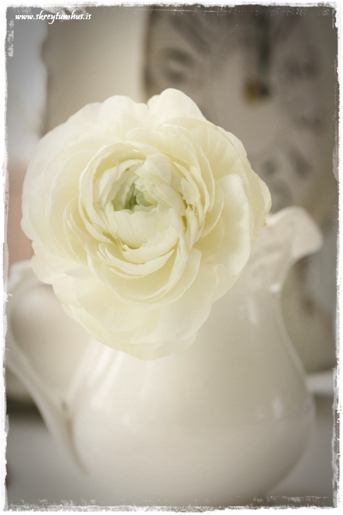 07-www.skreytumhus.is