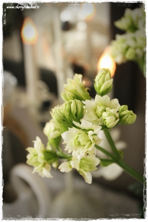 08-www.skreytumhus.is-006