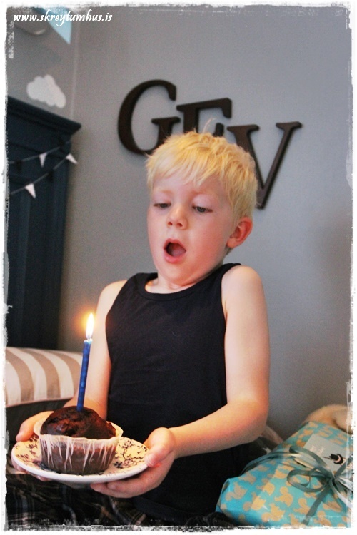 005-www.skreytumhus.is-004