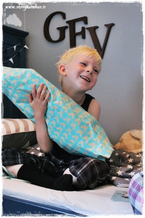 006-www.skreytumhus.is-005