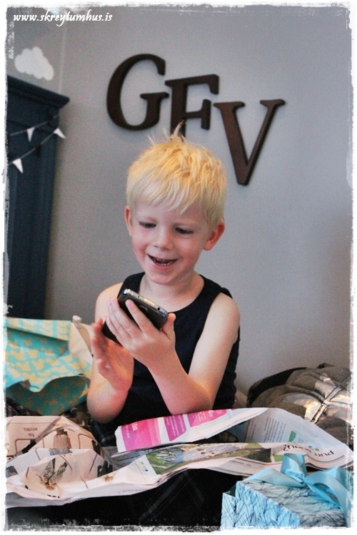 010-www.skreytumhus.is-009