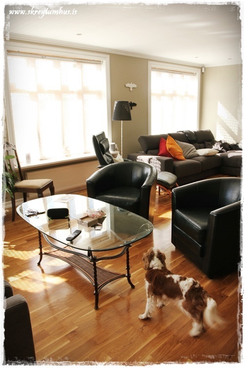 011-www.skreytumhus.is-007