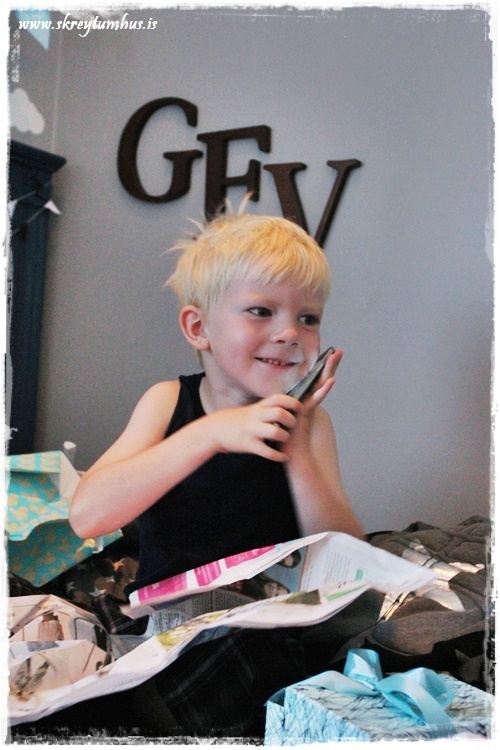 012-www.skreytumhus.is-011